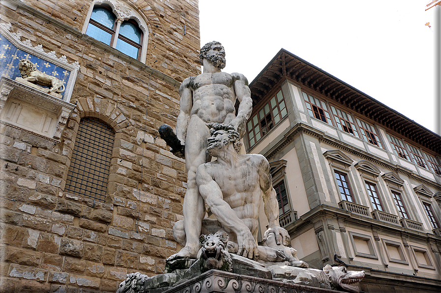 foto Piazza della Signoria